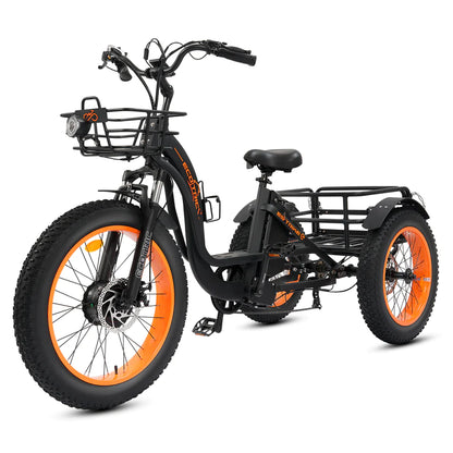 ECOTRIC Tricycle