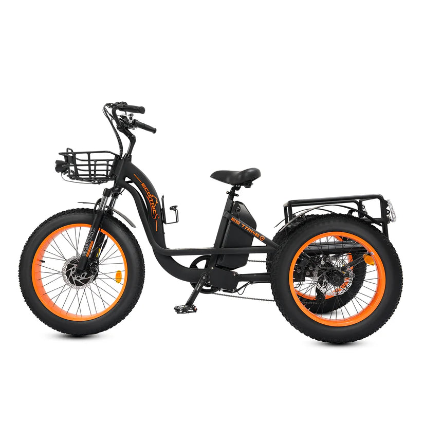 ECOTRIC Tricycle