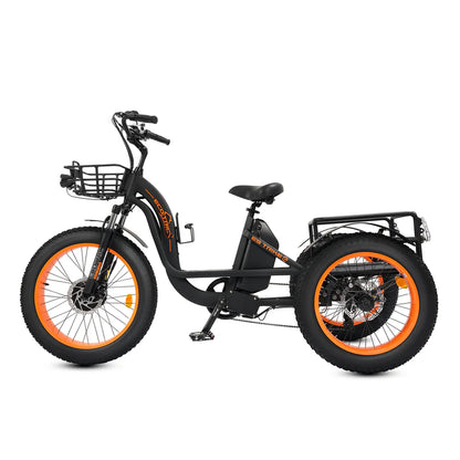 ECOTRIC Tricycle