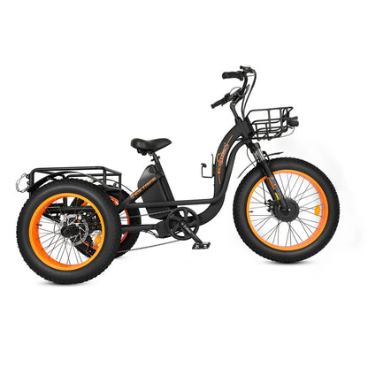 ECOTRIC Tricycle